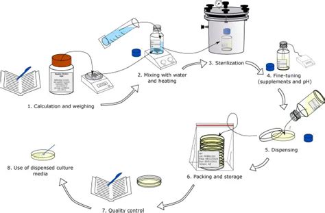 do you think that slants are autoclaved|Culture of Microorganisms: 5 Steps .